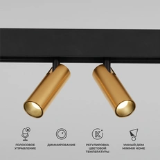 Фото товара Slim Magnetic Умный трековый поворотный светильник 14W 2700-6500K Dim Dual латунь 85056/01